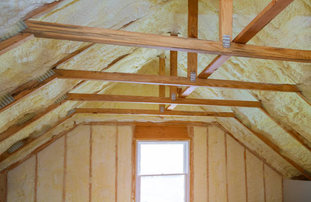 Best Residential Insulation in Bellview, FL