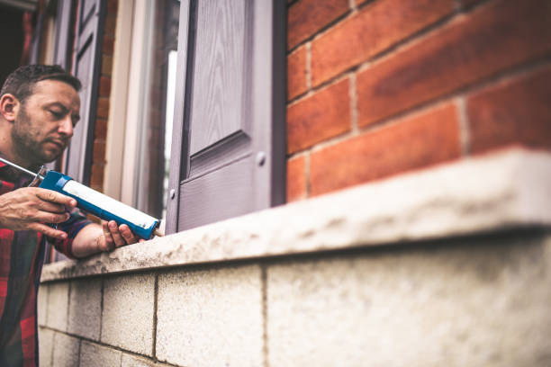 Best Geographic-Specific Insulation Services in Bellview, FL