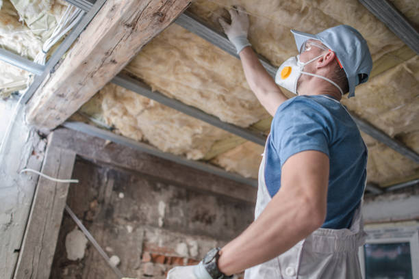 Best Insulation Maintenance and Repair in Bellview, FL