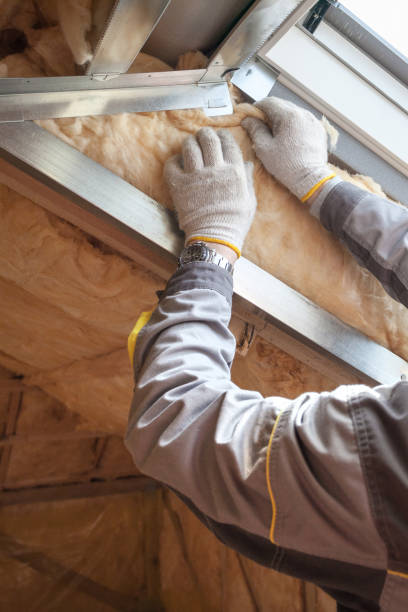 Best Cellulose Insulation in Bellview, FL