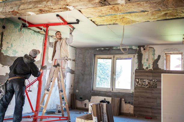 Best Spray Foam Insulation in Bellview, FL