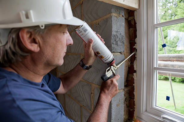 Best Blown-in Insulation in Bellview, FL