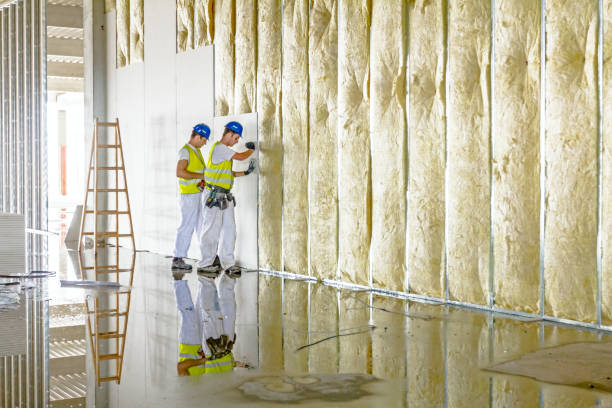 Types of Insulation We Offer in Bellview, FL